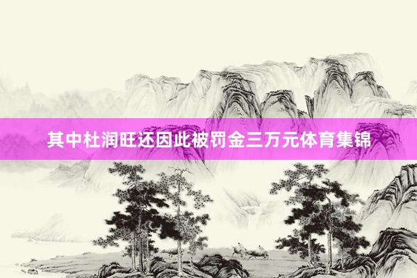其中杜润旺还因此被罚金三万元体育集锦