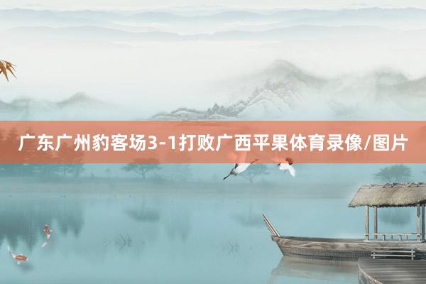 广东广州豹客场3-1打败广西平果体育录像/图片