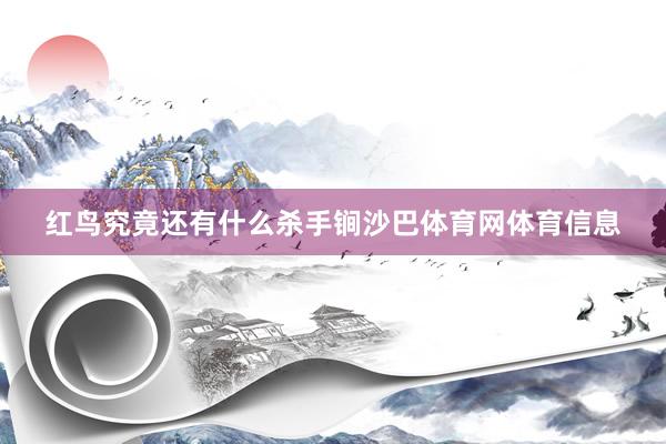 红鸟究竟还有什么杀手锏沙巴体育网体育信息