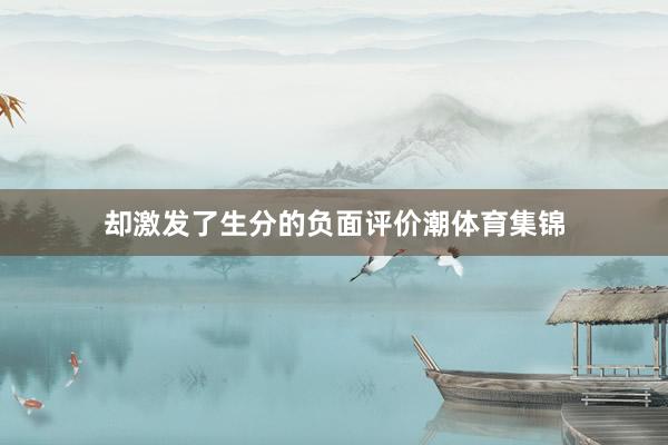 却激发了生分的负面评价潮体育集锦