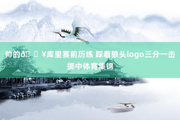 帅的🔥库里赛前历练 踩着狼头logo三分一击掷中体育集锦
