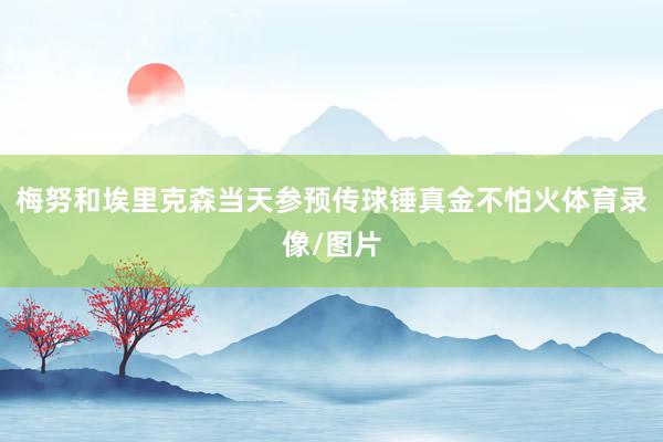 梅努和埃里克森当天参预传球锤真金不怕火体育录像/图片