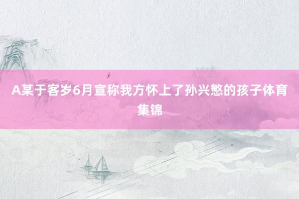 A某于客岁6月宣称我方怀上了孙兴慜的孩子体育集锦
