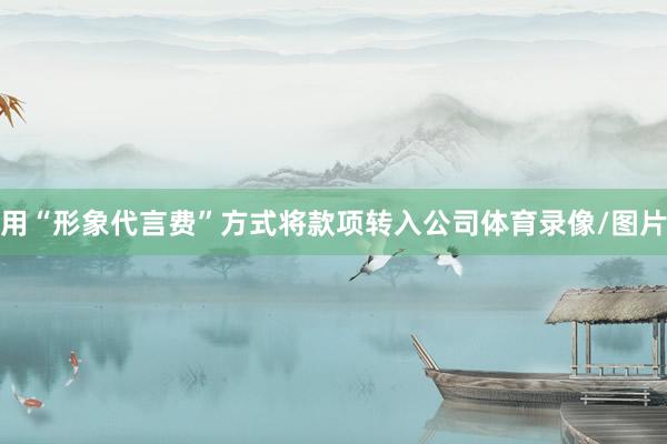 用“形象代言费”方式将款项转入公司体育录像/图片