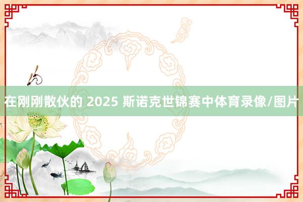 在刚刚散伙的 2025 斯诺克世锦赛中体育录像/图片
