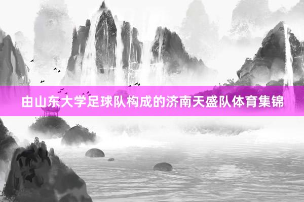 由山东大学足球队构成的济南天盛队体育集锦