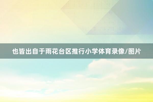 也皆出自于雨花台区推行小学体育录像/图片
