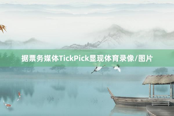 据票务媒体TickPick显现体育录像/图片
