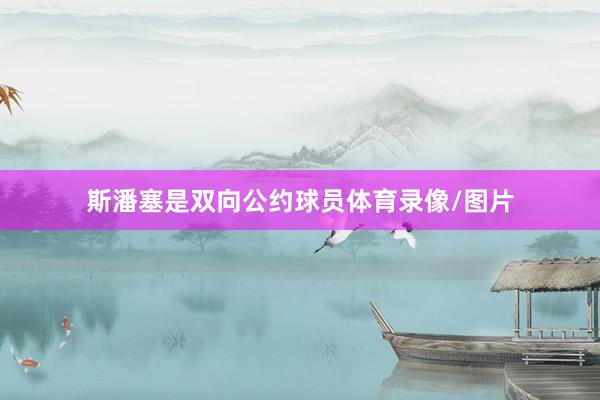 斯潘塞是双向公约球员体育录像/图片
