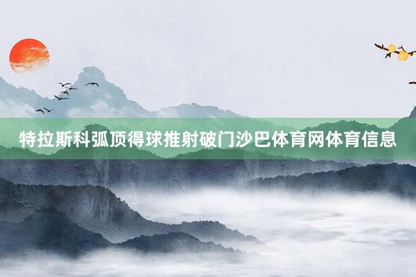特拉斯科弧顶得球推射破门沙巴体育网体育信息