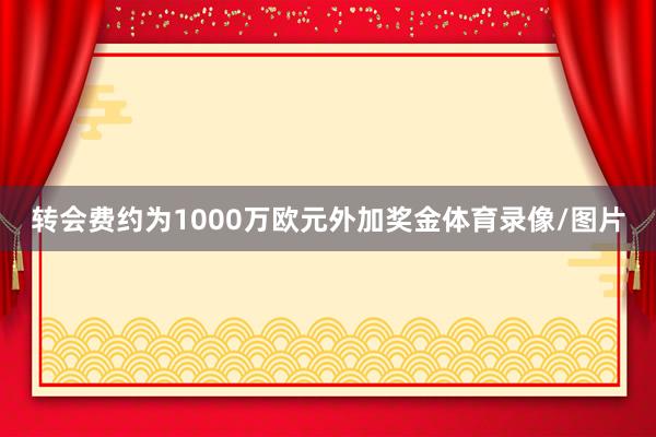 转会费约为1000万欧元外加奖金体育录像/图片