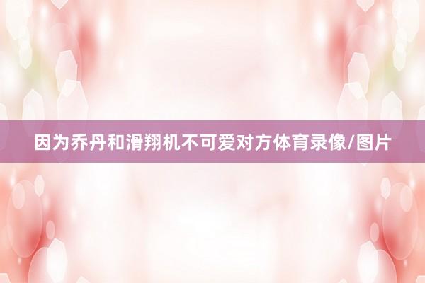 因为乔丹和滑翔机不可爱对方体育录像/图片