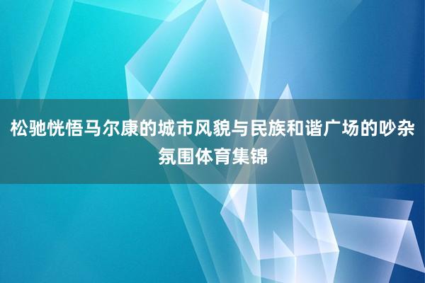 松驰恍悟马尔康的城市风貌与民族和谐广场的吵杂氛围体育集锦