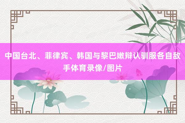 中国台北、菲律宾、韩国与黎巴嫩辩认驯服各自敌手体育录像/图片