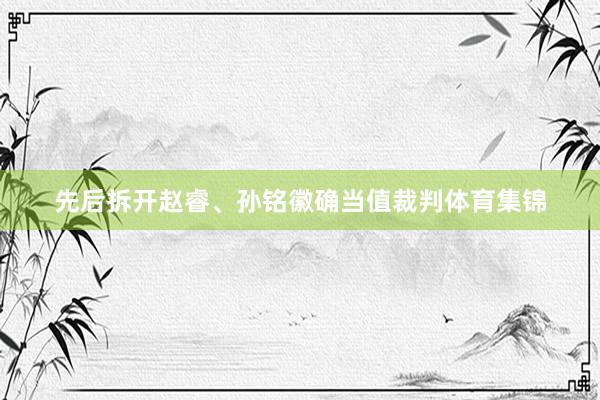 先后拆开赵睿、孙铭徽确当值裁判体育集锦