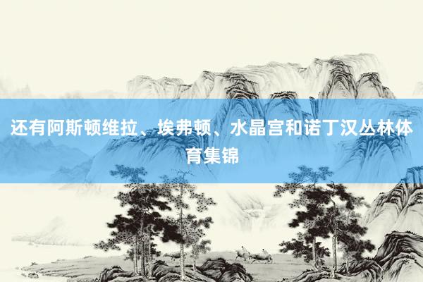 还有阿斯顿维拉、埃弗顿、水晶宫和诺丁汉丛林体育集锦