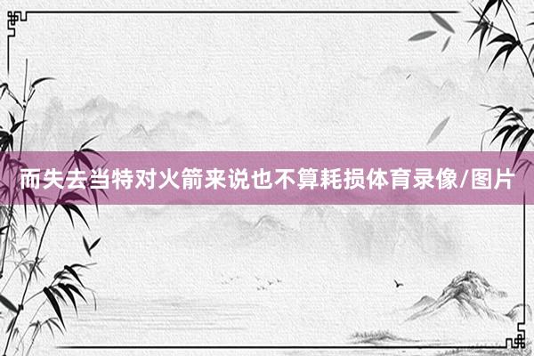 而失去当特对火箭来说也不算耗损体育录像/图片
