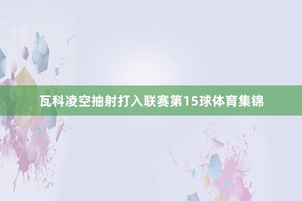瓦科凌空抽射打入联赛第15球体育集锦