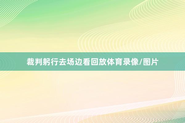 裁判躬行去场边看回放体育录像/图片