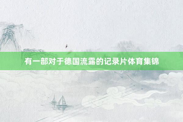 有一部对于德国流露的记录片体育集锦