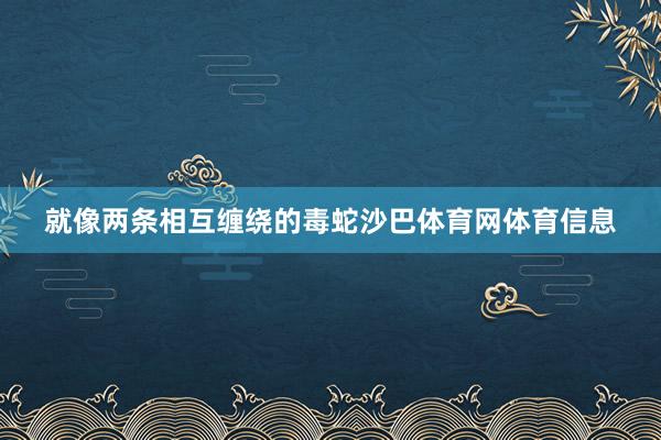 就像两条相互缠绕的毒蛇沙巴体育网体育信息