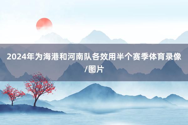 2024年为海港和河南队各效用半个赛季体育录像/图片