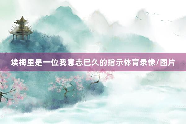 埃梅里是一位我意志已久的指示体育录像/图片