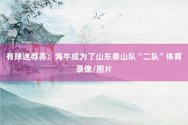 有球迷辱弄：海牛成为了山东泰山队“二队”体育录像/图片