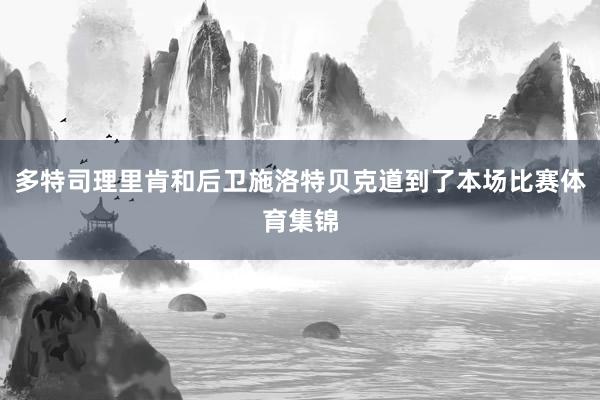 多特司理里肯和后卫施洛特贝克道到了本场比赛体育集锦