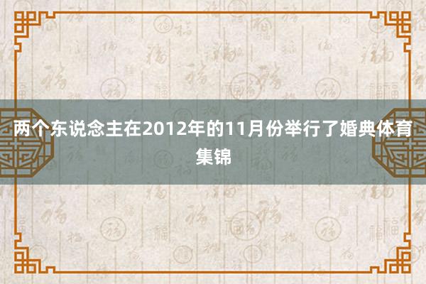 两个东说念主在2012年的11月份举行了婚典体育集锦