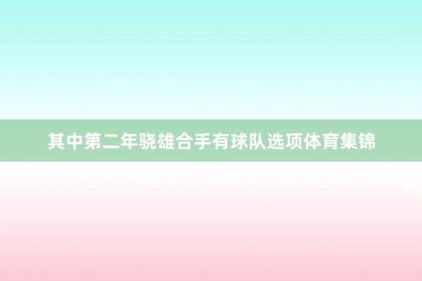 其中第二年骁雄合手有球队选项体育集锦