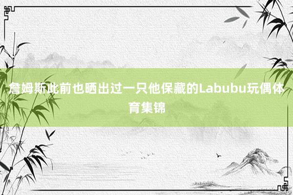 詹姆斯此前也晒出过一只他保藏的Labubu玩偶体育集锦