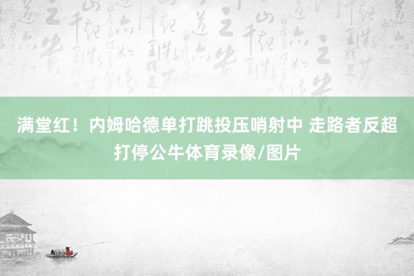 满堂红！内姆哈德单打跳投压哨射中 走路者反超打停公牛体育录像/图片