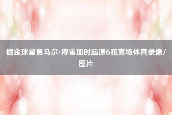 掘金球星贾马尔·穆雷加时起原6犯离场体育录像/图片