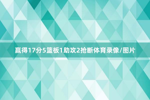 赢得17分5篮板1助攻2抢断体育录像/图片