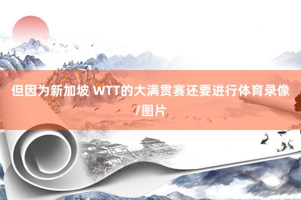 但因为新加坡 WTT的大满贯赛还要进行体育录像/图片