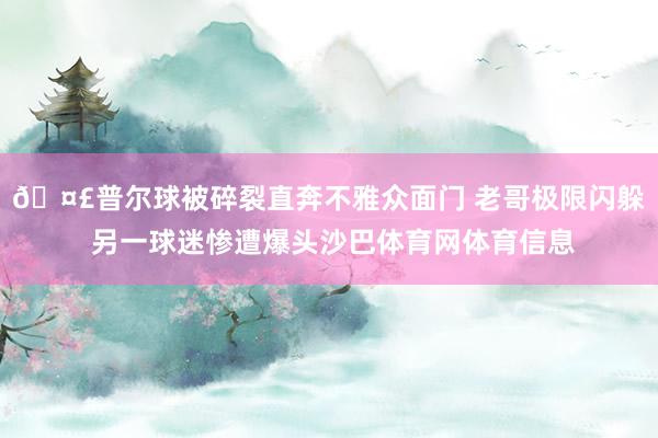 🤣普尔球被碎裂直奔不雅众面门 老哥极限闪躲 另一球迷惨遭爆头沙巴体育网体育信息