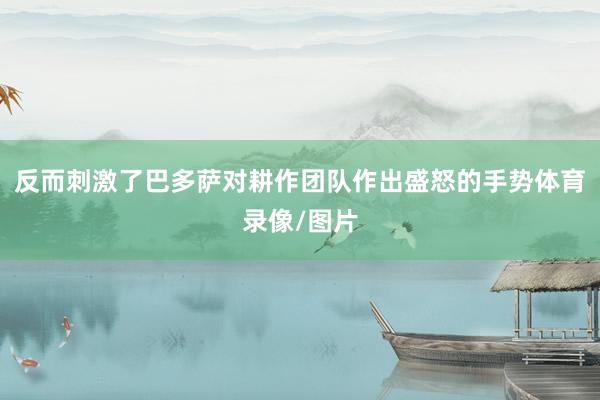 反而刺激了巴多萨对耕作团队作出盛怒的手势体育录像/图片