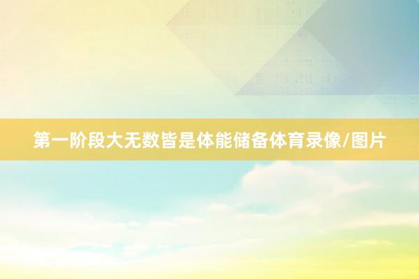 第一阶段大无数皆是体能储备体育录像/图片