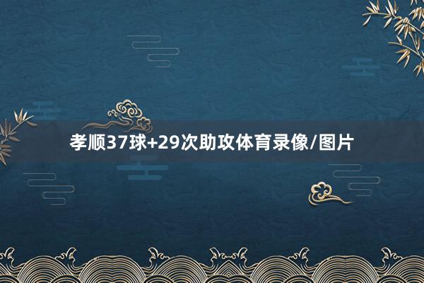 孝顺37球+29次助攻体育录像/图片