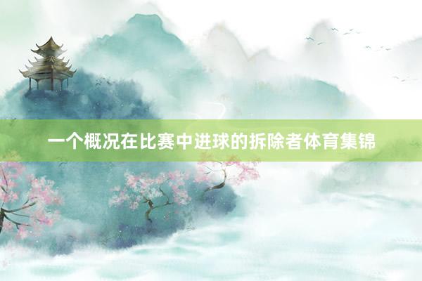 一个概况在比赛中进球的拆除者体育集锦