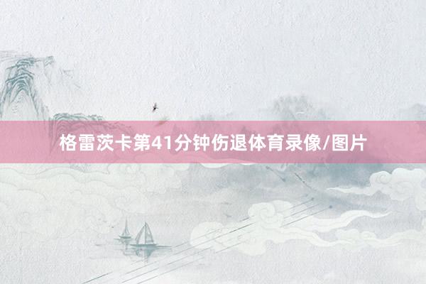 格雷茨卡第41分钟伤退体育录像/图片