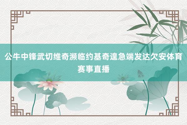 公牛中锋武切维奇濒临约基奇遑急端发达欠安体育赛事直播