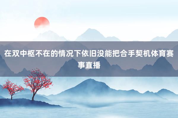 在双中枢不在的情况下依旧没能把合手契机体育赛事直播