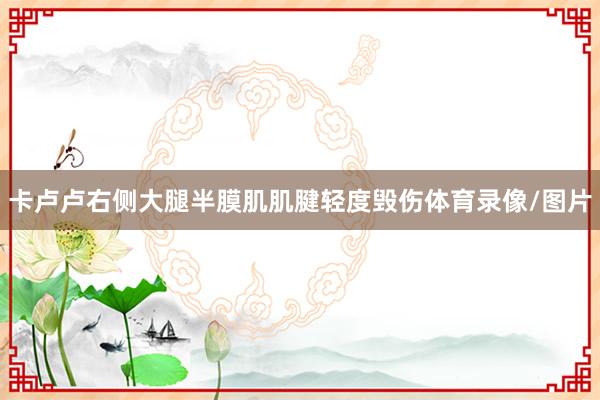 卡卢卢右侧大腿半膜肌肌腱轻度毁伤体育录像/图片