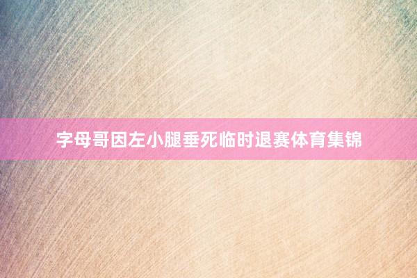 字母哥因左小腿垂死临时退赛体育集锦