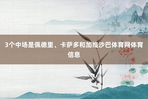 3个中场是佩德里、卡萨多和加维沙巴体育网体育信息