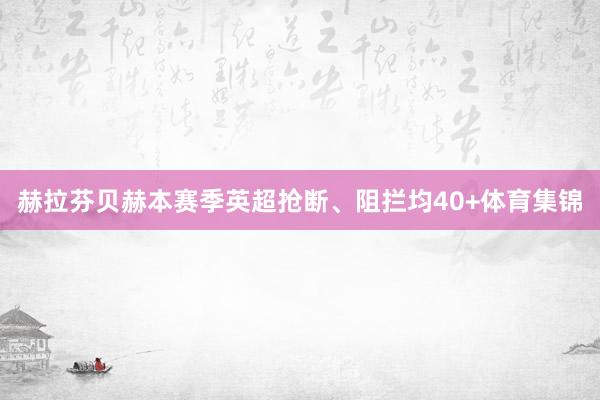 赫拉芬贝赫本赛季英超抢断、阻拦均40+体育集锦