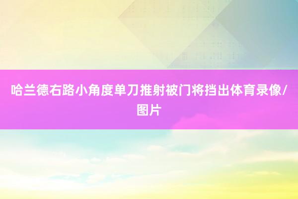 哈兰德右路小角度单刀推射被门将挡出体育录像/图片
