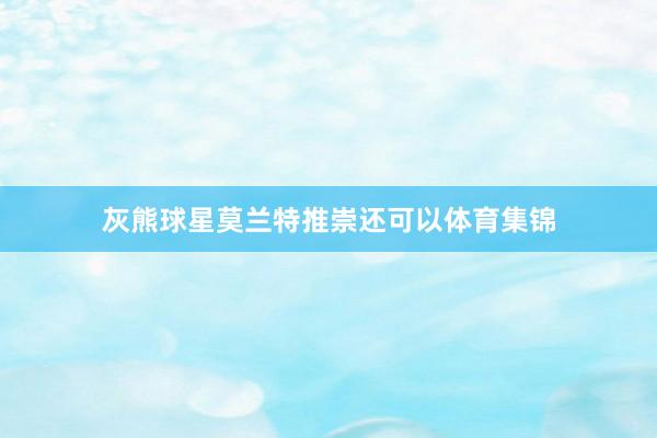 灰熊球星莫兰特推崇还可以体育集锦